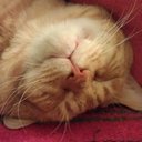 Karla Patten - @KarlaPatten7 - Twitter