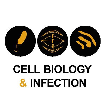 Department of Cell Biology & Infection @institutpasteur