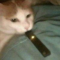 roach (@roaxchh) 's Twitter Profile
