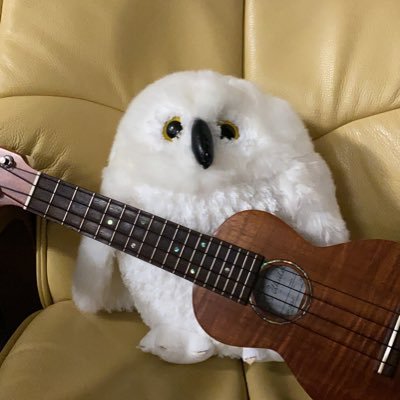 Zukulele2 Profile Picture