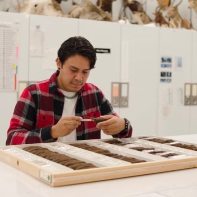 Diné PhD candidate studying mammalian evolution and diversity in the Santana Lab at the University of Washington.