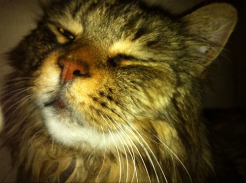 markhamilton22's profile picture. Things I love..the other half, our daughters, family, friends, football, running, tennis, great drinks and great food..all views my own