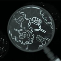 Dash Lab (@dashlab1) 's Twitter Profile
