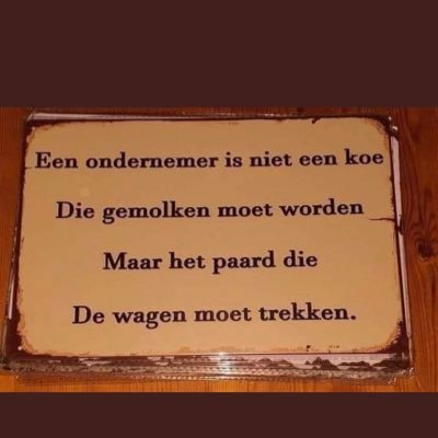 Ondernemer en optimist/realist