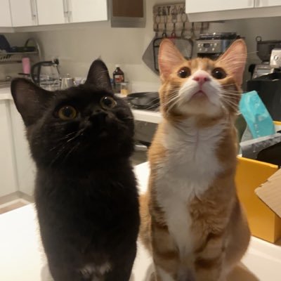 Noura_nm's profile picture. 