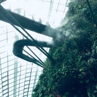 d5bcofS3ijxVImh's profile picture. 27卒