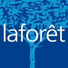 LaforetStOrens Profile Picture