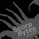 ScorpBytes's profile picture. Website developmemt blog for Patrick W. Nichols