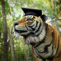 Hector Quinones (@tigerquinones) 's Twitter Profile Photo Hector Quinones (@tigerquinones) 's Twitter Profile Photo