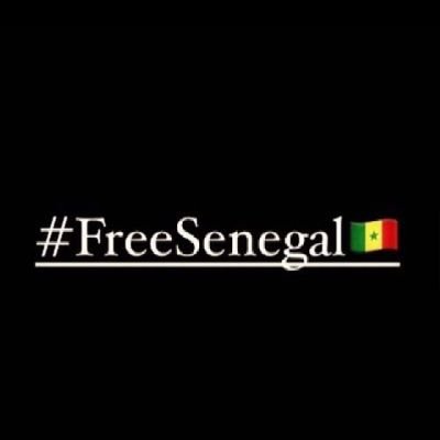 olivier_niang's profile picture. 