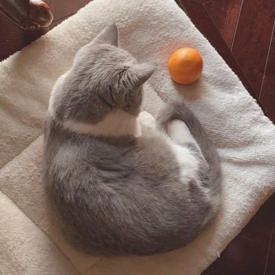 Neskiell's profile picture. 