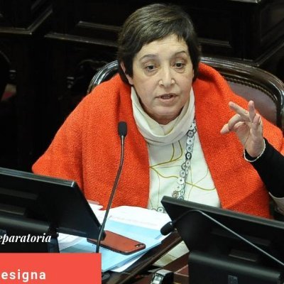 Senadora Nacional por Tucumán (MC). Peronista. Militante por los derechos de las mujeres./ Instagram: @beatrizmirkinok
