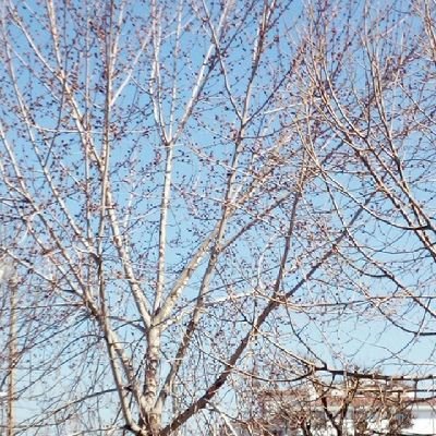 Kaybolmus8's profile picture. 