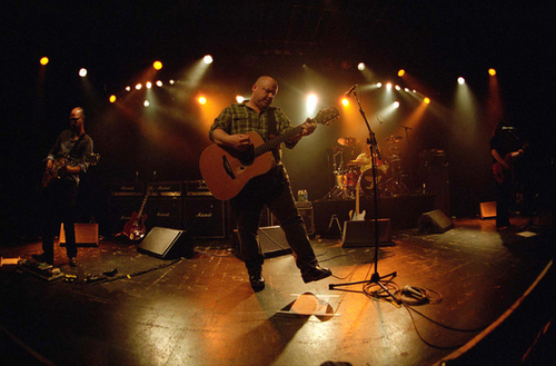 PixiesNews's profile picture. 24/7 News Feed for The Pixies.