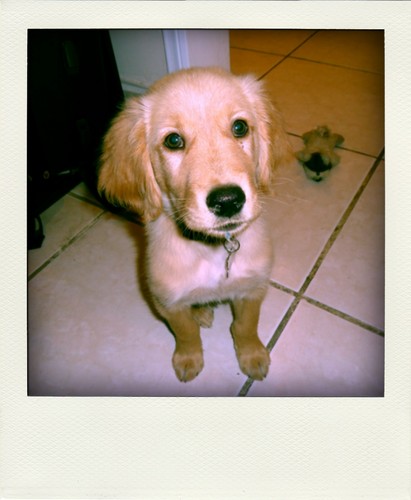 marcosmunoz's profile picture. 