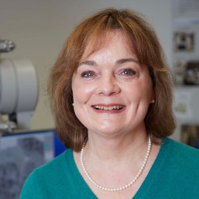 An electron microscopist working in New York City. Director of the Electron Microscopy Resource Center at The Rockefeller University @RockefellerUniv