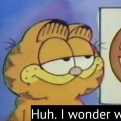 taditquoilo's profile picture. hey