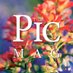 The Picayune Magazine (@thepicayune) Twitter profile photo The Picayune Magazine (@thepicayune) Twitter profile photo