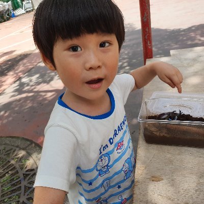 9歳男子。鬼太郎、妖怪、歴史、恐竜、生物、漢字のありとあらゆるものが好き！
#中国史好きとつながりたい