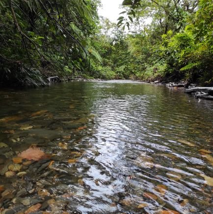 EyderEscobedo's profile picture. 