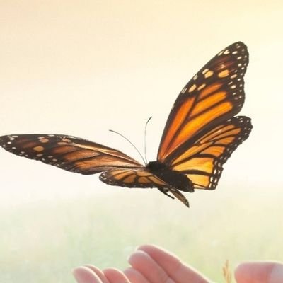 Holistic Health Care, Studies & Wellbeing Established 2005 https://t.co/UP2pGG38v5
Online ethical shop https://t.co/g7xqAWbHik