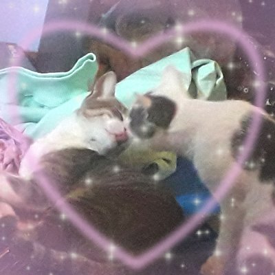 Kay.さんのプロフィール画像