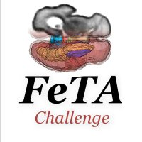 FeTAChallenge (@fetachallenge) 's Twitter Profile Photo FeTAChallenge (@fetachallenge) 's Twitter Profile Photo