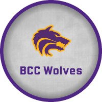 Bay City Central (@baycitycentral) 's Twitter Profile