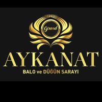 Mehmet Nedim Aykanat (@mehmetnedimayk) Twitter profile photo