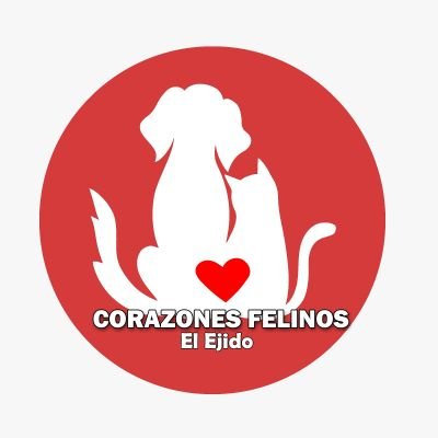 Pequeña asociación animalista: gestionamos colonias felinas, aplicamos CER; rescatamos gatos y perros, les buscamos acogida y adopción.. ayúdanos 🙏🙏