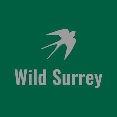 Guided nature walks in Surrey's wildest places. Inspiring a passion for the natural world.