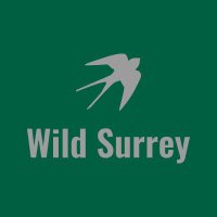 Wildsurrey(@wildsurrey) 's Twitter Profile Photo