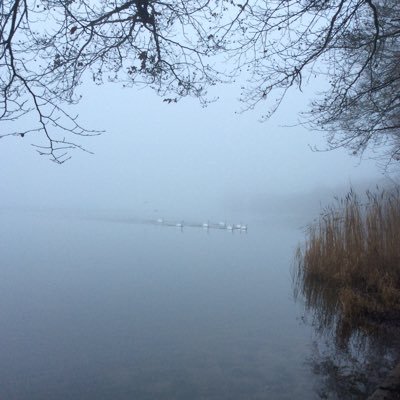 chikispirit's profile picture. 