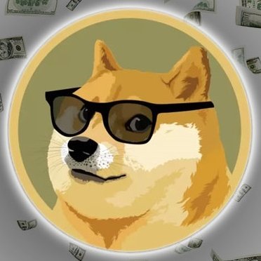 $DOGE to the 🌙