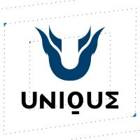 Team Unique (@team_unq) 's Twitter Profile