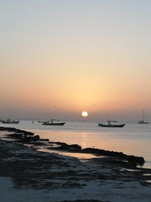 sap801's profile picture. 