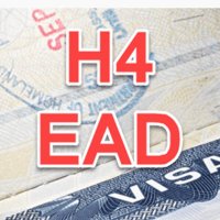 Justice_for_H4EAD (@navin0103004996) 's Twitter Profile Photo Justice_for_H4EAD (@navin0103004996) 's Twitter Profile Photo