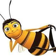 Bee movie script