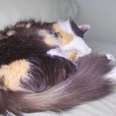 Margaret Plummer - @MaggiePlummer - Twitter