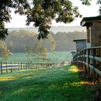 Peachester Lodge (@peachesterl) 's Twitter Profile
