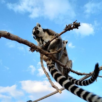 alkyriakou's profile picture. Be kind and curious.