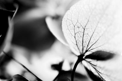 sandramariars's profile picture. 