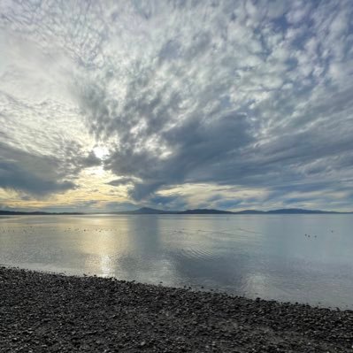 stevenmcooper's profile picture. Digital Media professional