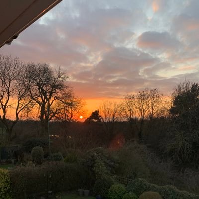 fionapjacobs's profile picture. 