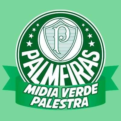 Análises e Opiniões Palmeiras -     📉📝                                                -
informações de tudo que envolve o Clube 🗞