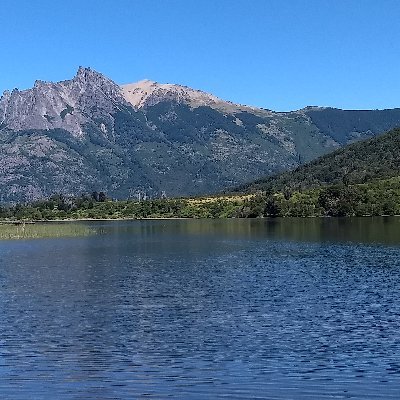 si no sos K o zurdo seguime y te sigo.  Vamos ahora eh , Milei afilá la motosierra, armá un gran plan y apoyate en quiénes ya sabés, 