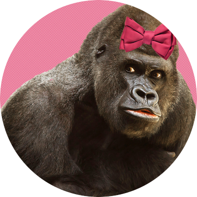 ショパンゴリラ Chopingorilla Twitter ショパンゴリラ Chopingorilla Twitter