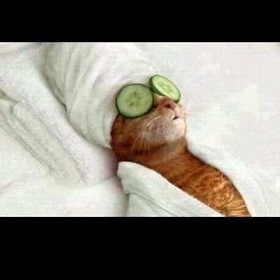 Nana99645431's profile picture. 