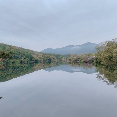 살찐제비