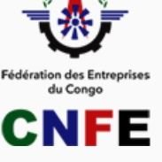 Commission Femmes Entrepreneures-FEC (@femmesfec) 's Twitter Profile